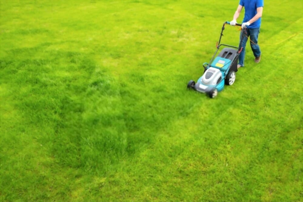 Providing Quality Landscape Services Since 2006