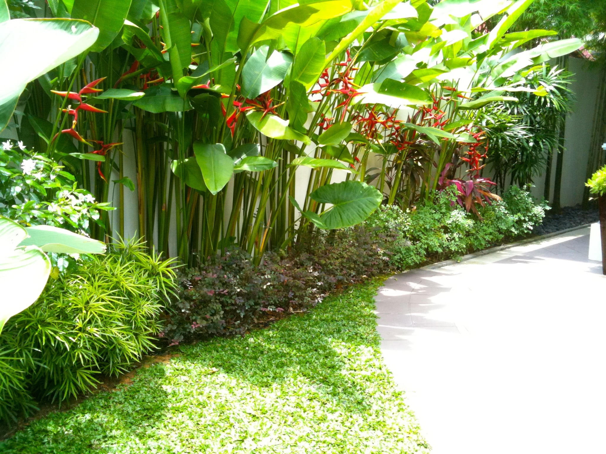 Landscape Design And Planting