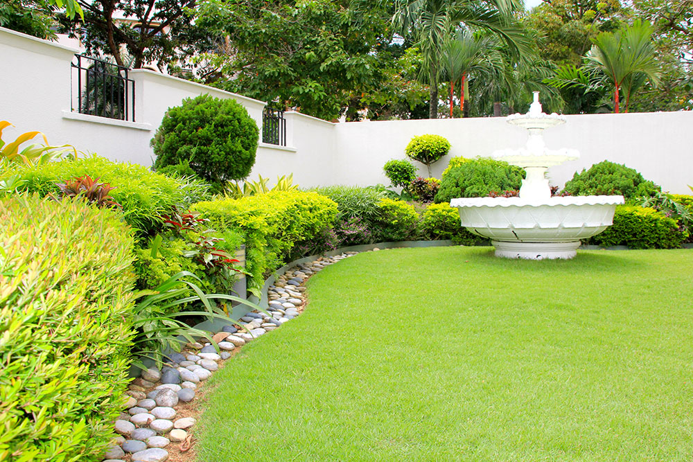 Providing Landscape Quality Services Since 2006