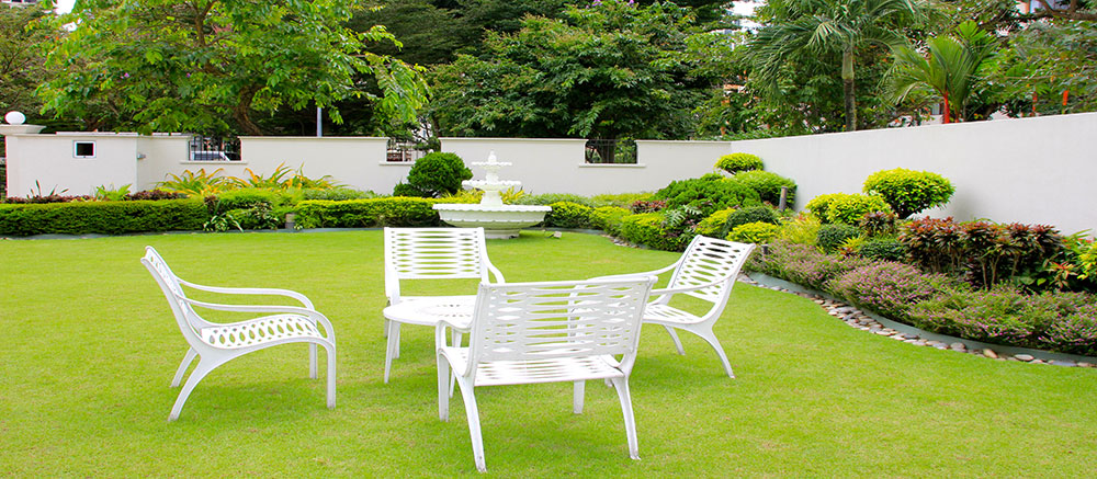 Treating your lawn in spring
